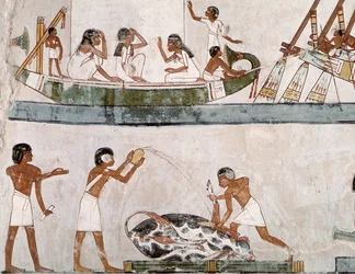 Ofiarowanie i oczyszczenie byka oraz rytuał żeglarski, z grobowca Menna, Nowe Królestwo (malowidło ścienne)